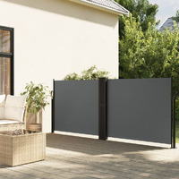 vidaXL Retractable Side Awning Anthracite 55.1x472.4