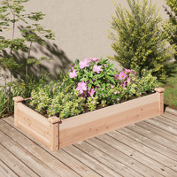 vidaXL Garden Raised Bed with Liner 47.2x23.6x9.8 Solid Wood Fir