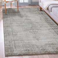 Radici USA 3563-0020-BONE Colosseo Area Rug- Bone - 3 ft. 3 in. x 4 ft. 11 in.