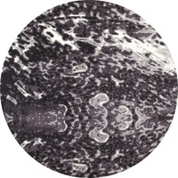 Art Carpet 841864116557 5 ft. Titanium Collection Seafoam Woven Round Area Rug  Gray
