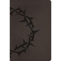 4.5 x 6.5 in. ESV Large Print Compact Bible  Charcoal Crown Design Trutone