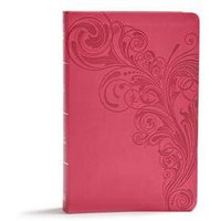 B & H Publishing 136450 KJV Giant Print Reference Bible, Pink Leather Touch