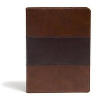 KJV Study Bible  Saddle Brown LeatherTouch Indexed