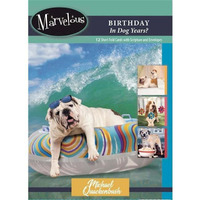 Card-Boxed-Birthday In Dog Years No.177 - Box of 12