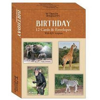 Boxed - Card Birthday-Safari Friends - Box of 12