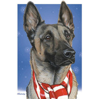 Belgian Malinois Boxed Christmas Cards - Set of 10