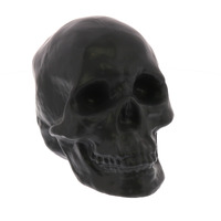 Black Ceramic Skull Sculpture