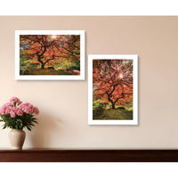 Set Of Two First Colors of Fall I White Framed Print Wall Art