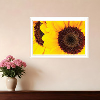Sunflower Portrait White Framed Print Wall Art