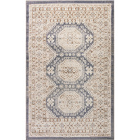 4' X 6' Blue Geometric Distressed Area Rug