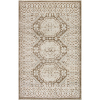 4' X 6' Brown Geometric Distressed Area Rug