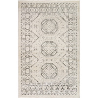 4' X 6' Gray Geometric Distressed Area Rug
