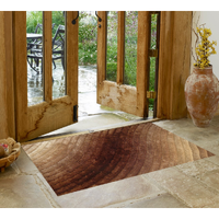 2' X 3' Taupe and Brown Shag Hand Tufted Area Rug