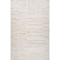 4' X 6' Gray and Beige Geometric Distressed Area Rug