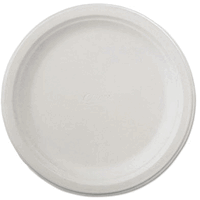 21234 Classic Paper Dinnerware 9 3/4in.