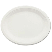 21234 Classic Paper Dinnerware