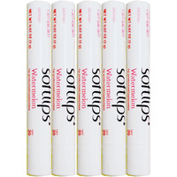 Softlips Watermelon Flavored (5 Softlips Sticks)