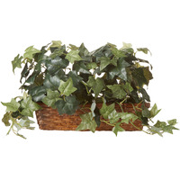 Puff Ivy W/Ledge Basket
