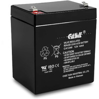 Casil Ca1240 Genuine 12V 4Ah Sla Alarm Battery