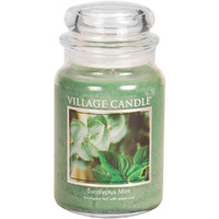 Village Candle Eucalyptus Mint Large Glass Apothecary Jar Scented Candle, 2125 Oz, Green