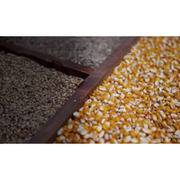 Southern Boy Stills 2298543 10 Lb. Moonshiners Blend 80% Cracked Corn 10% Rye 10% Barley By Detwiler Native Seed