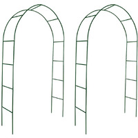 Vidaxl Garden Arch 2 Pcs Climbing Plants