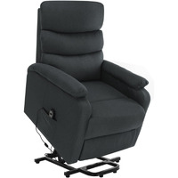 Vidaxl Power Lift Massage Recliner Dark Gray Fabric