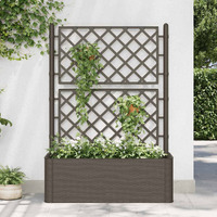 Vidaxl Garden Raised Bed With Trellis And Self Watering System Mocha
