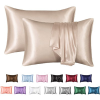 Mr&Hm Satin Pillowcase For Hair And Skin, Silk Satin Pillowcase 2 Pack, Queen Size Pillow Cases Set Of 2, Silky Pillow Cover With Envelope Closure (20X30, Champagne)
