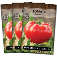 Sow Right Seeds - Beefsteak Tomato Seeds For Planting - Non-Gmo Heirloom Packet With Instructions To Plant A Home Vegetable Garden - Indeterminate, Super Large And Bright Red Fruits (3)