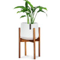 Fox & Fern Mid Century Modern Plant Stand, Plant Stand Indoor, Indoor Plant Stand, Plant Stands For Indoor Plants, Plant Holder, Corner Plant Stand - Excluding Plant Pot - Acacia Wood - Fits 10"" Pot