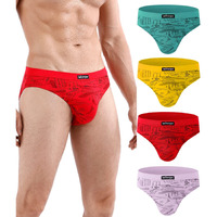 Wirarpa Mens Underwear Multipack Modal Microfiber Briefs No Fly Covered Waistband Silky Touch Underpants Assorted Large