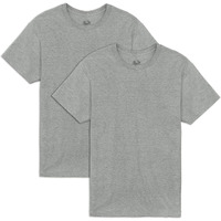Fruit Of The Loom Men's Eversoft Cotton T-Shirts (S-4Xl), Crew-2 Pack-Grey Heather, Xx-Large