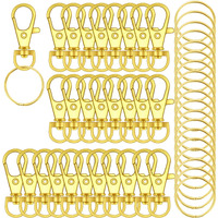 120Pcs Premium Swivel Lanyard Snap Hook With Key Rings (Gold)