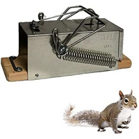 Squirrel Ouell Traps Outdoor (Big)