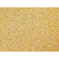White Millet Proso Bulk Bird Seed (10 Pounds)
