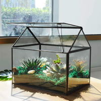 Large Glass Plant Terrarium - House Succulent Glass Terrarium Kit With Lip Glass Greenhouse Terrarium For Plant (Black 1)