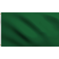 Dmse Solid Blank Flag 3X5 Ft Foot Flag Uv Resistant (3X5 Polyester, Dark Green)