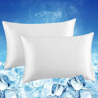Luxear Cooling Pillow Cases Queen Size, 2 Pack Cool Pillow Cases With Japanese Q-Max 0.5 Arc-Chill Cooling Fiber, Breathable Soft, Cooling Eco-Friendly, Hidden Zipper Design - (20X30 In)-White