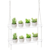 Sumerflos 2-Tier Acrylic Plant Shelves For Window Of Kitchen, Bedroom, Living Room, 16 Inch Window Wall Flower Double Hanger Boxes, Height Adjustable Hanging Shelves For Indoor Plants, Succulents