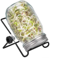 Sprouting Jar Kit, Wide Mouth Quart Mason Jars With Screen Sprout Lids & Stand, Seeds Germination Growing Kit, Seed Sprouter Set For Growing Organic Broccoli Alfalfa Mung Microgreens Bean (1Pack)