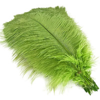 Londgen 5Pcs Ostrich Feathers 16-18Inch(40-45Cm) For Wedding Party Centerpieces Halloween Christmas Home Decorations (Lime Green)