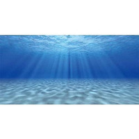 Awert Ocean Floor Background Undersea Theme Aquarium Background Sunshine Underwater World Fish Tank Background 48X18 Inches Polyester Background