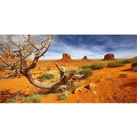 Awert 72X24 Inches Reptile Habitat Background Orange Desert Terrarium Background Durable Polyester Background