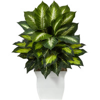 2 Golden Dieffenbachia Artificial Plant In White Metal Planter