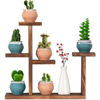 Coogou Wooden Tabletop Plant Stand - 5 Tier Succulent Plant Holder Decorative Planter Holder, Small Desktop Flower Pot Rack Shelf For Decoration Living Room Home Office Windowsill