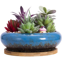 Artketty Succulent Pots, 6.1 Inch Large Succulent Planters Pots With Drainage Ceramic Bonsai Pots With Bamboo Tray Shallow Cactus Flower Planter Pot For Indoor Plants