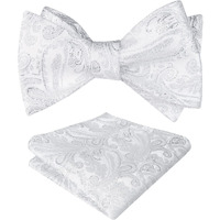 Alizeal Mens Paisley Jacquard Self Bow Tie Pocket Square Set (Shiny Silver)