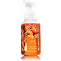 Bath & Body Works Gentle Foaming Hand Soap Sweet Cinnamon Pumpkin 2017