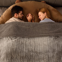 Bearhug Electric Blanket King Size 100"" X 90"", Dual Controller Heated Blanket, Velvet & Sherpa, 10-Heat Levels & 1-12H Auto Off, 5 Year Warranty, Over-Heat Protect, Etl, Machine Washable